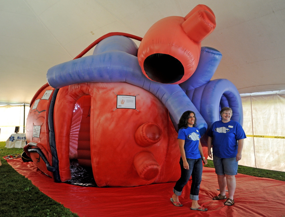 Wilton Blueberry Festival kicks off