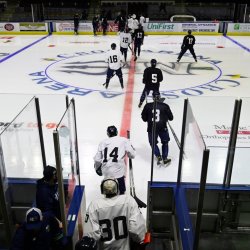 Maine Mariners host Sea Dogs Night