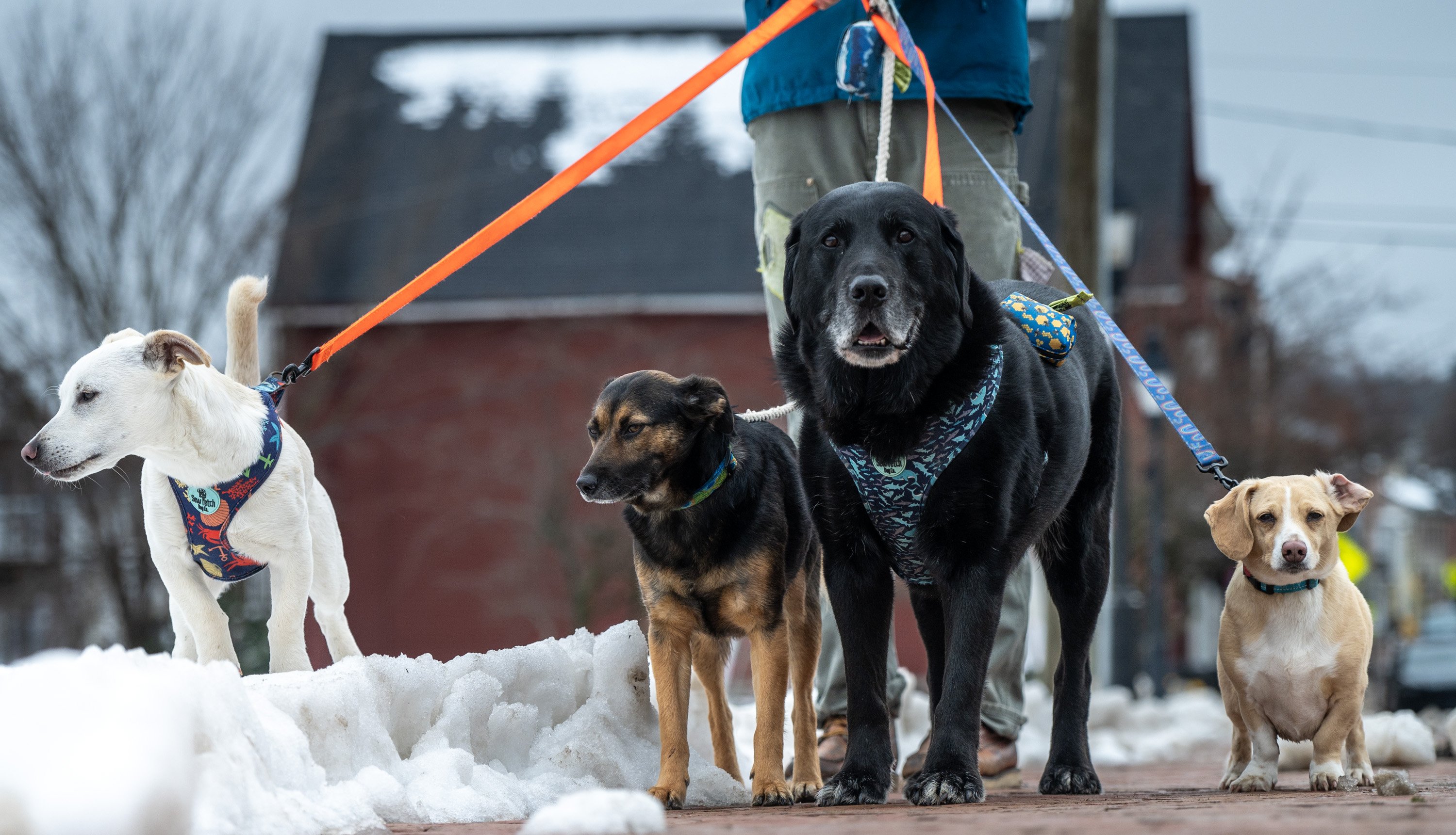 Morning Sentinel - Kennebec Journal and Morning Sentinel