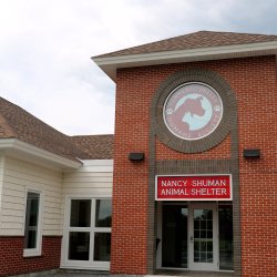 The new Kennebec Valley Humane Society on Leighton Road is shown on Friday.