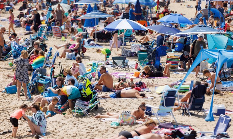 It's summer vacation. Hit the beach! Or the drive-in or the gem museum. 